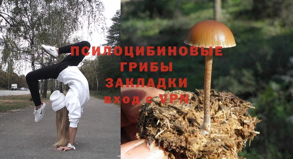 тгк Аркадак