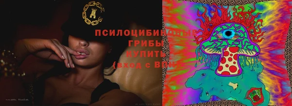 дмт Бугульма