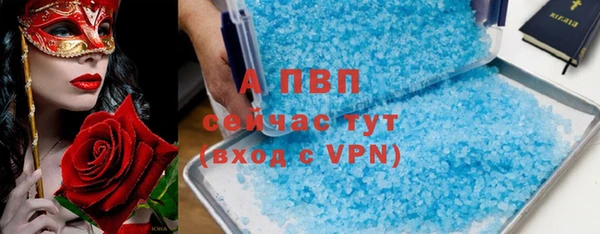 молекула духа Богданович