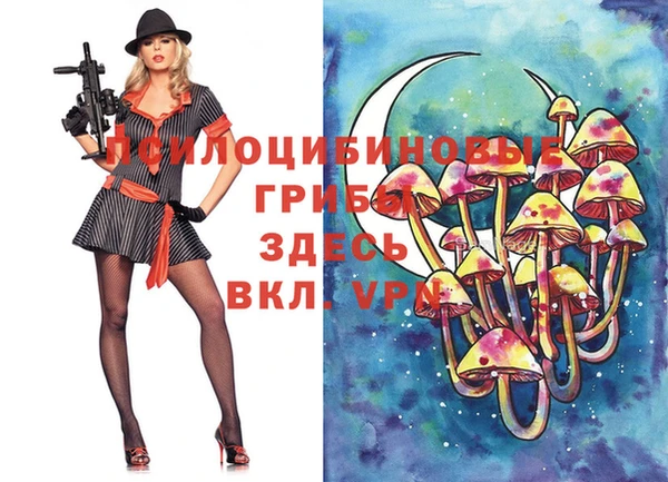 амф Бронницы