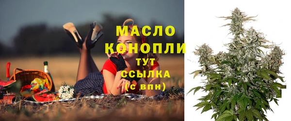 скорость Богородицк