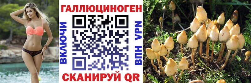 Купить где  Лосино-Петровский  Псилоцибиновые грибы Magic Shrooms 